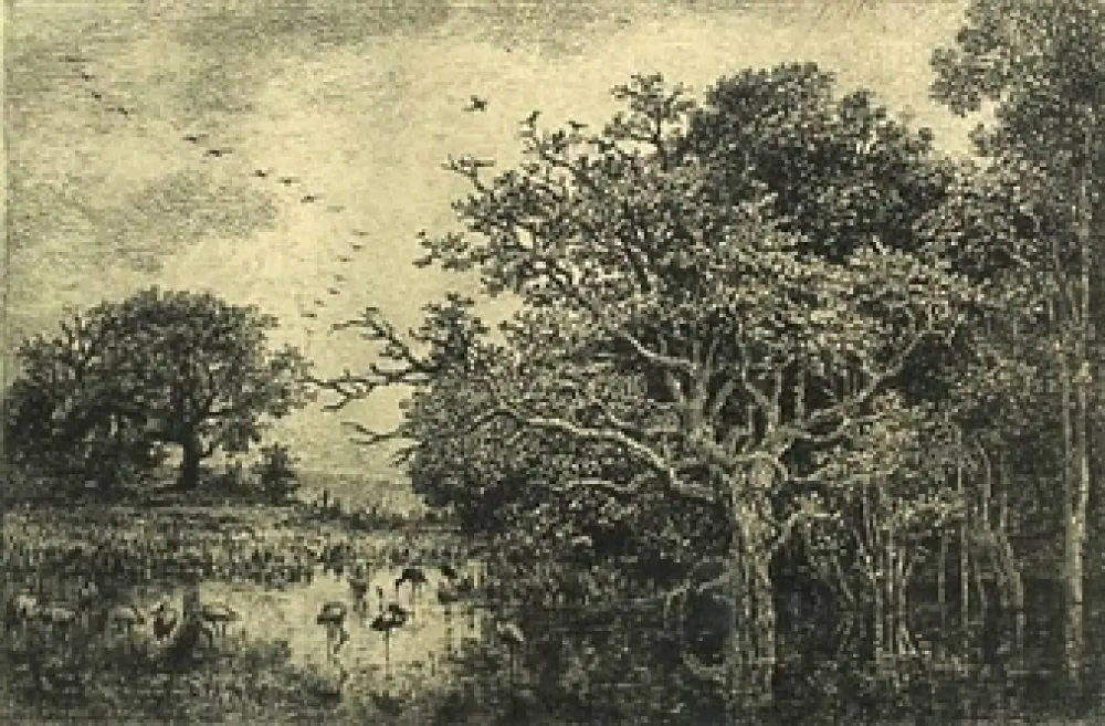 Gravura Daubigny - Le marais aux cigognes