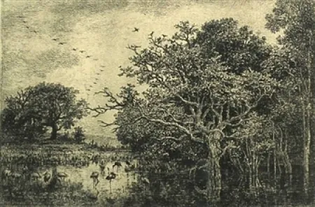 Gravura Daubigny - Le marais aux cigognes