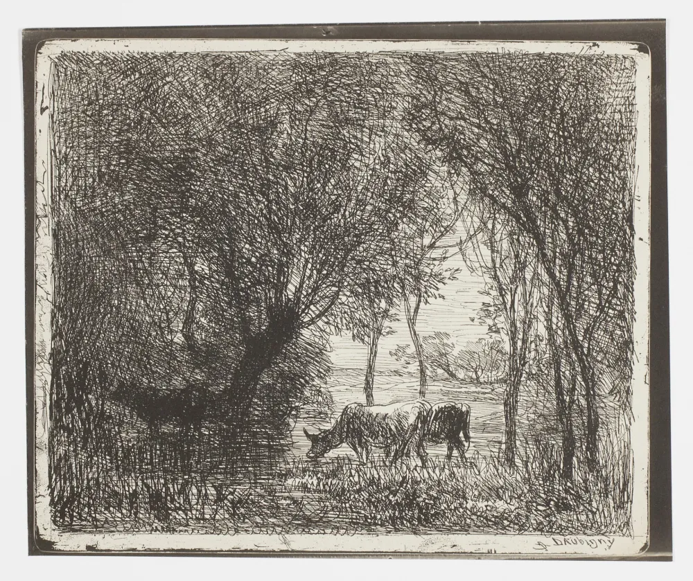 Sem Técnica Daubigny - Vaches sous Bois (Cows in the Woods, Cows under Trees)