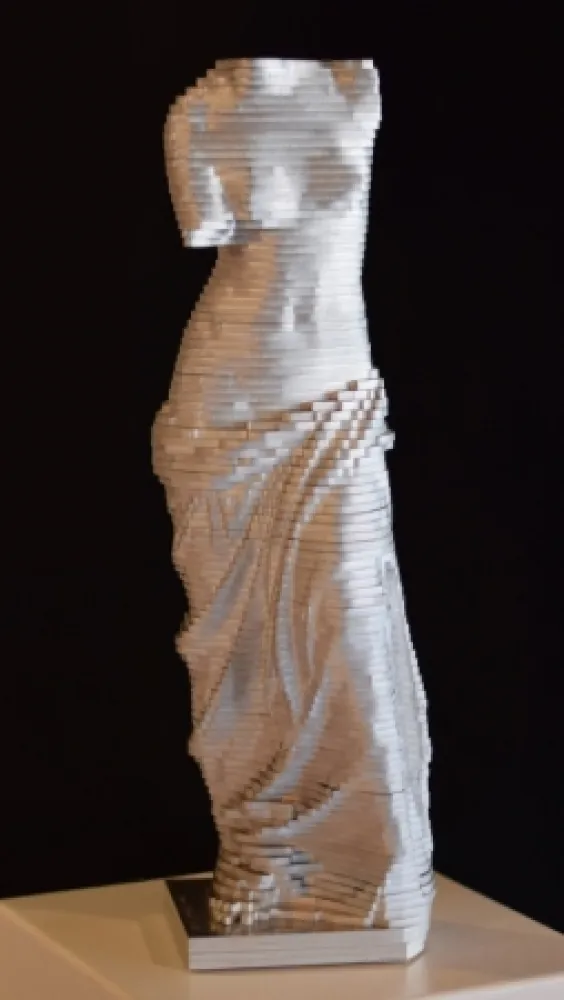 Sem Técnica David - Small Vénus