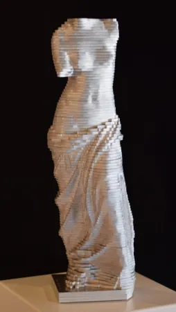 Sem Técnica David - Small Vénus