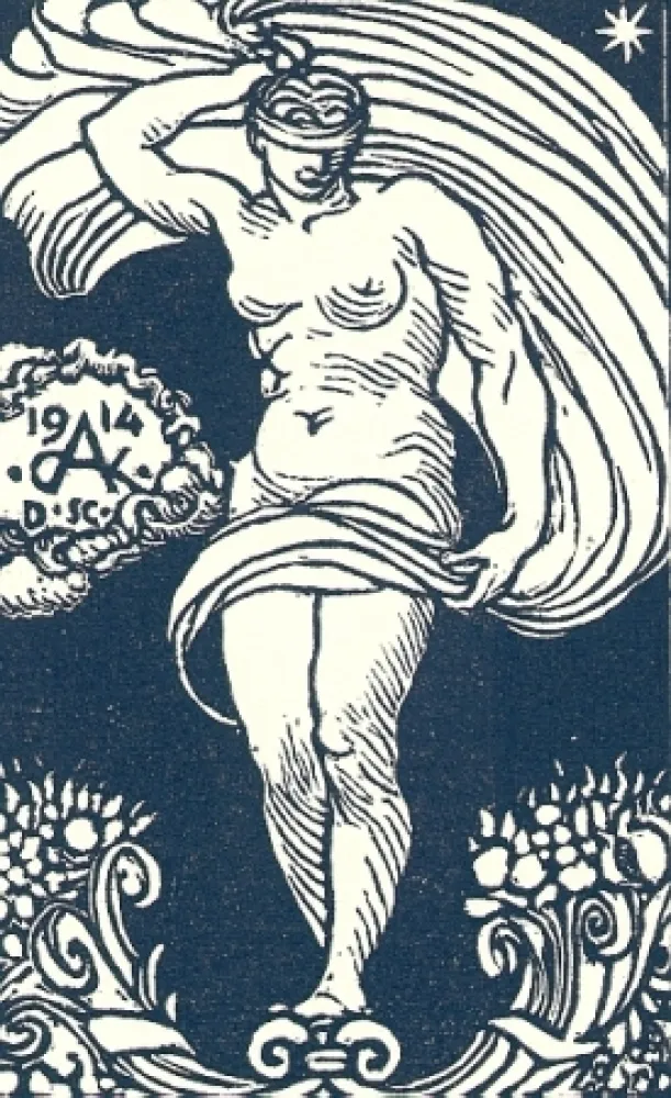 Livro Ilustrado De Carolis - Le carte da gioco