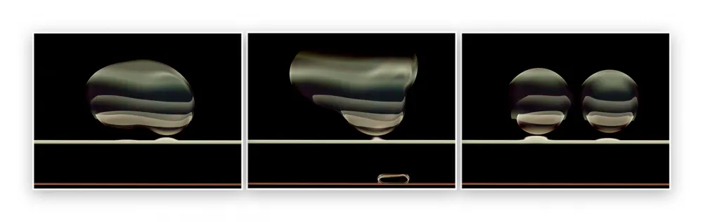 Fotografia De Haan - Timeline 5