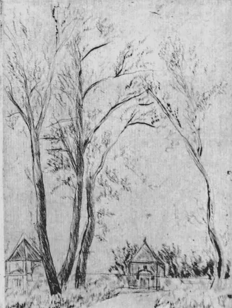 Água-Forte De Segonzac - Versailles, la Menagérie