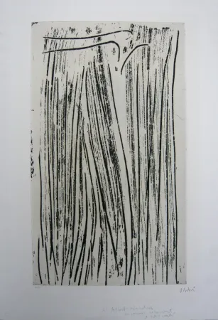 Água-Forte E Água-Tinta Debré - Personnage signe