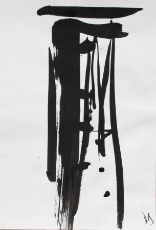 Sem Técnica Debré - Signe 1