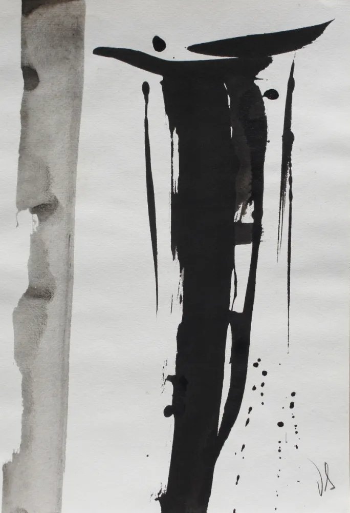 Sem Técnica Debré - Signe 2