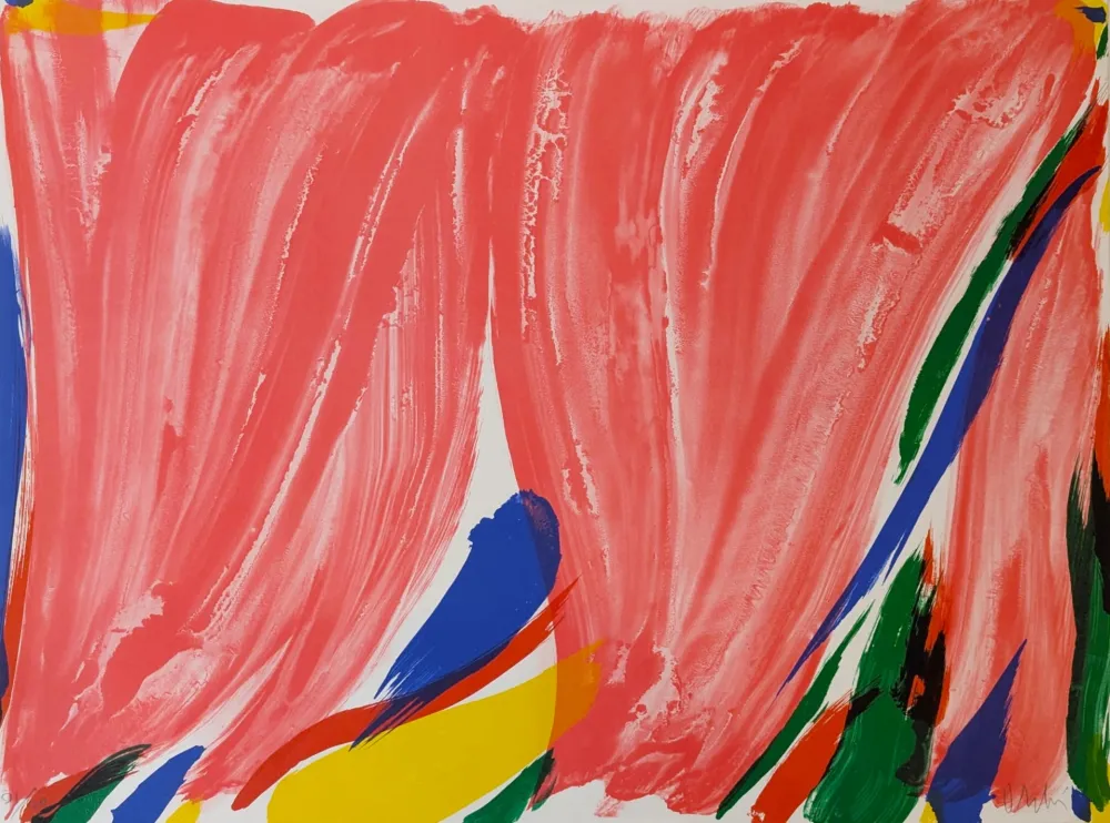 Litografia Debré - Signe-paysage 