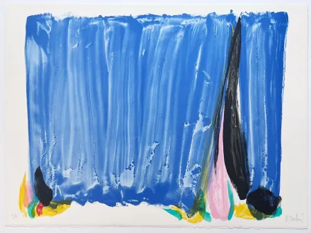 Litografia Debré - Signe-Paysage Loire 