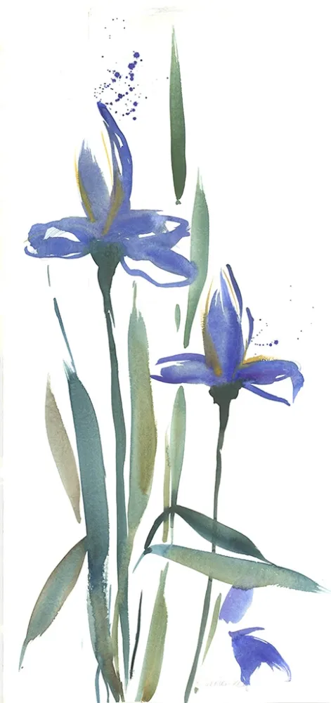 Sem Técnica Decker-Kern - Iris