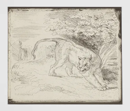 Sem Técnica Delacroix - Le tigre en arrêt (A trapped tiger, also: 'Tiger at bay' or 'Tiger at a standstill')