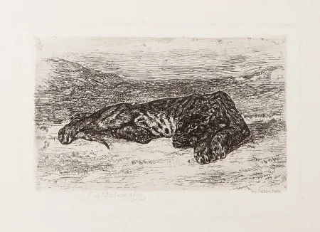 Gravura Delacroix - Tiger Sleeping in the Desert