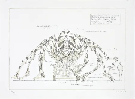 Litografia Delarozière - L'araignée géante