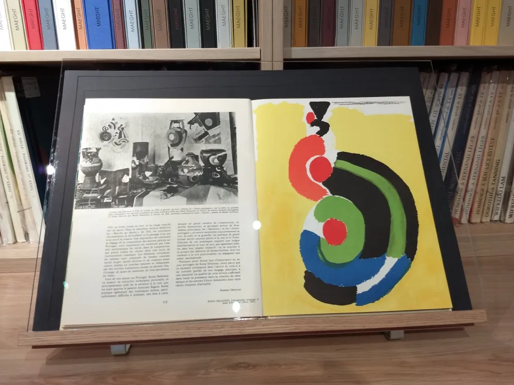 Livro Ilustrado Delaunay - No 39