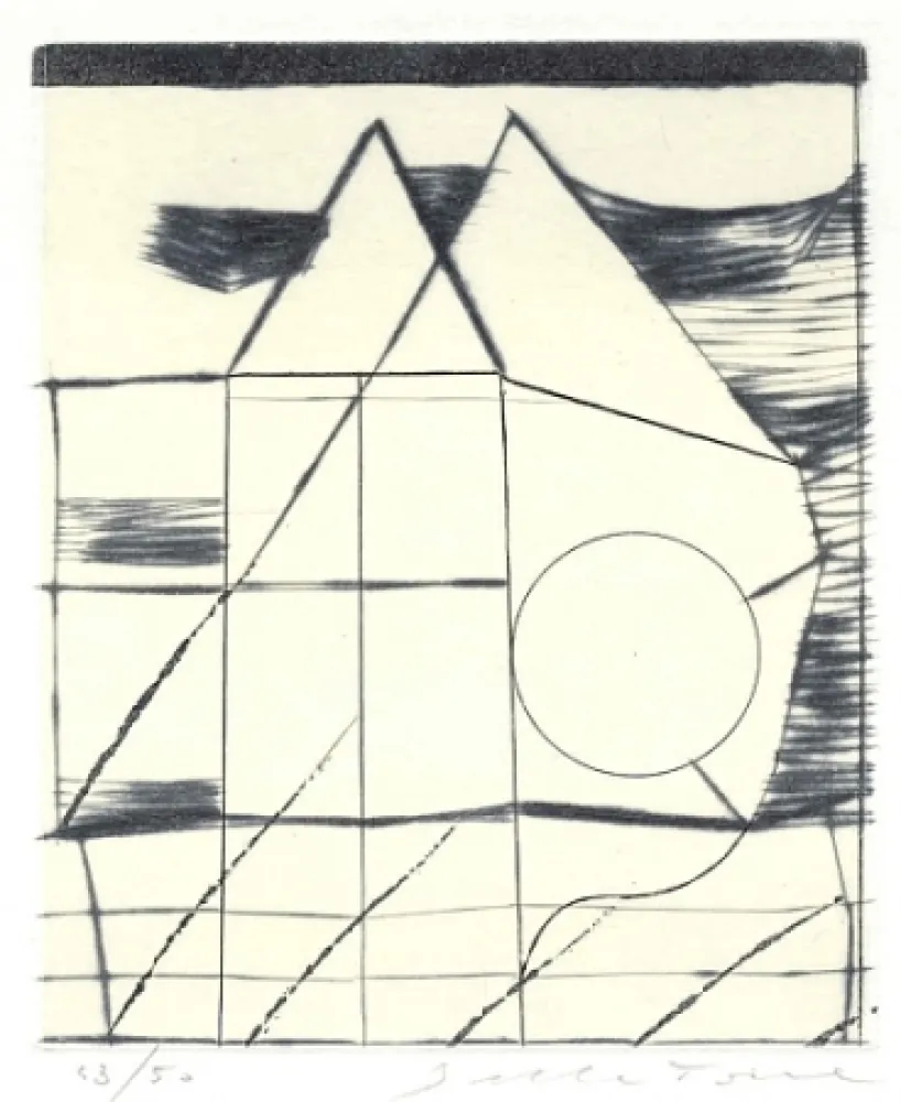 Livro Ilustrado Della Torre - Immagini riflesse