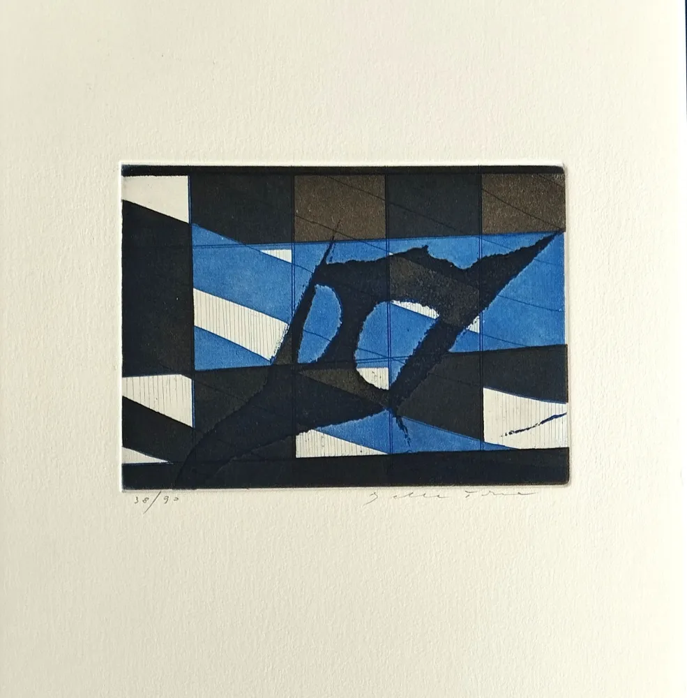 Água-Forte E Água-Tinta Della Torre - Trame