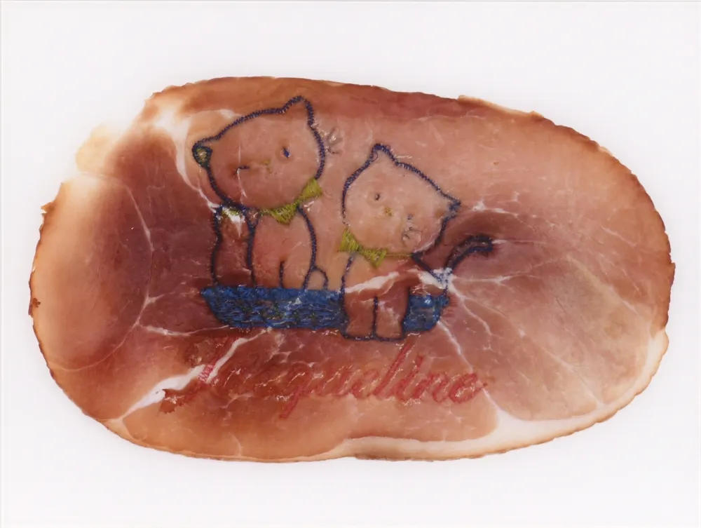Fotografia Delvoye - Untitled 02 (Photograph of Embroidered Ham) (