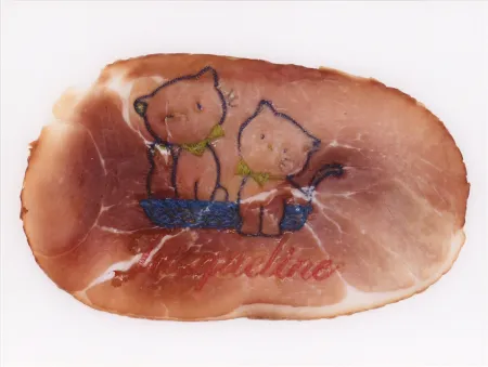 Fotografia Delvoye - Untitled 02 (Photograph of Embroidered Ham) (