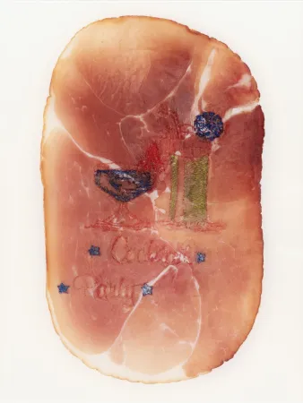 Fotografia Delvoye - Untitled (Photograph of Embroidered Ham)