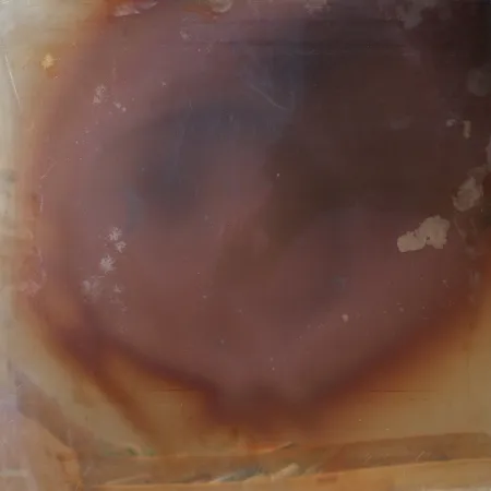 Sem Técnica Deschamps -  Les Nouveaux Realistes