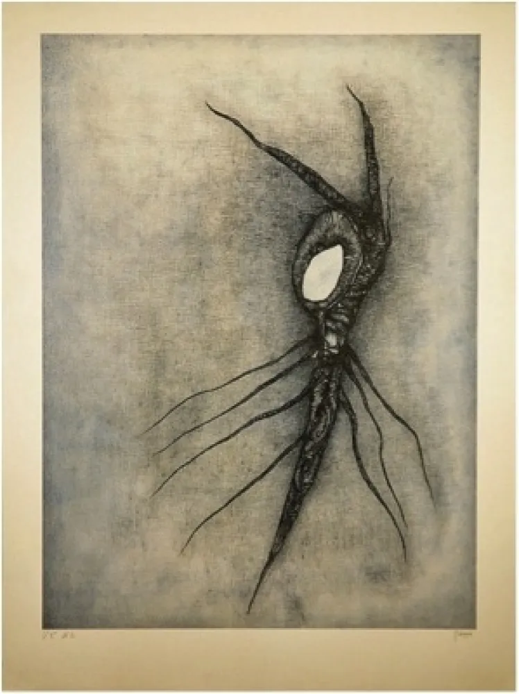 Litografia Deux - La Vingtième racine cosmique