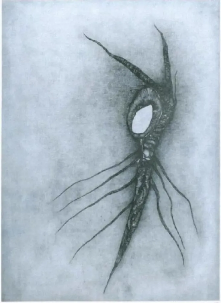 Litografia Deux - La vingtième racine cosmique