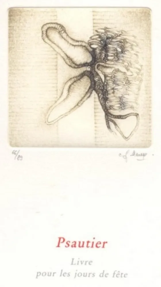 Livro Ilustrado Deux - Psautier