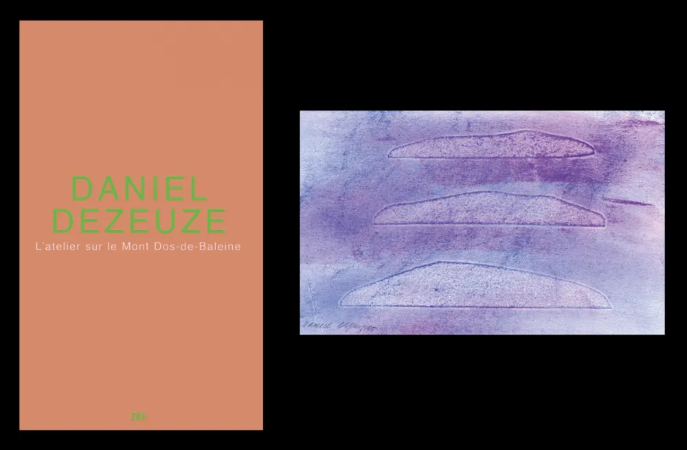 Livro Ilustrado Dezeuze - L'art en écrit 