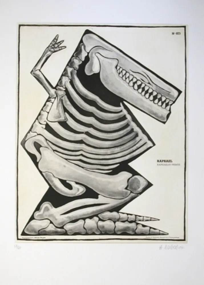 Água-Forte E Água-Tinta Di Rosa - Raphaël