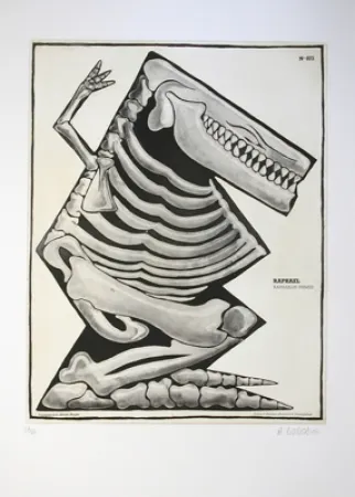 Água-Forte E Água-Tinta Di Rosa - Raphaël