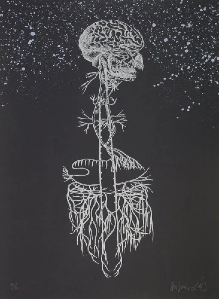 Litografia Diaz - Navegador