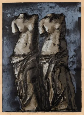 Múltiplo Dine - Double Venus in sky at night