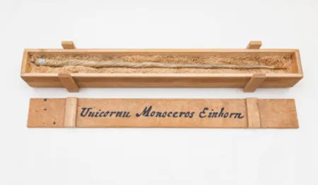 Múltiplo Dion - My Most Priceless Treasure (unicorn)