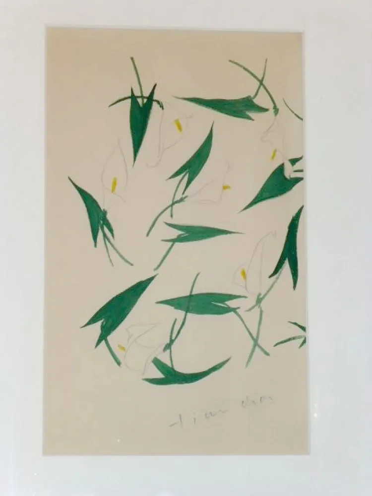 Sem Técnica Dior - Les arums