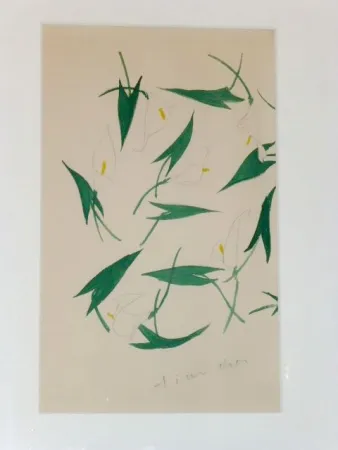 Sem Técnica Dior - Les arums