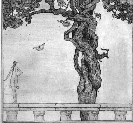 Água-Forte Disertori - La ninfetta