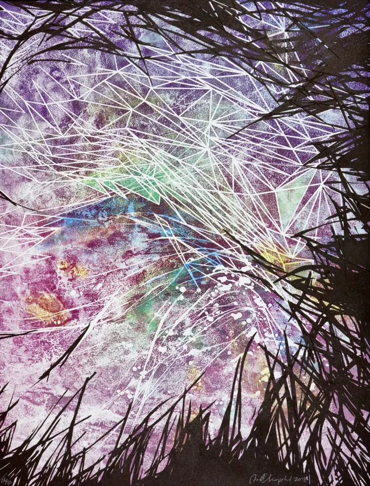 Litografia Dolma - Upside Down