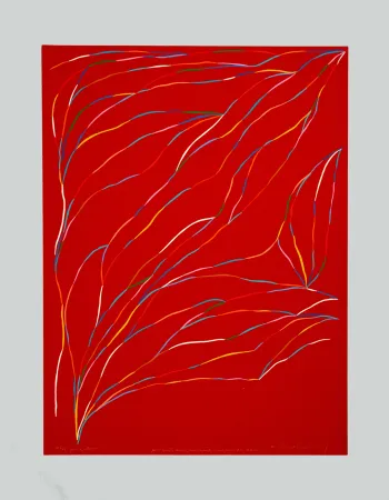 Serigrafia Dorazio - Composizione