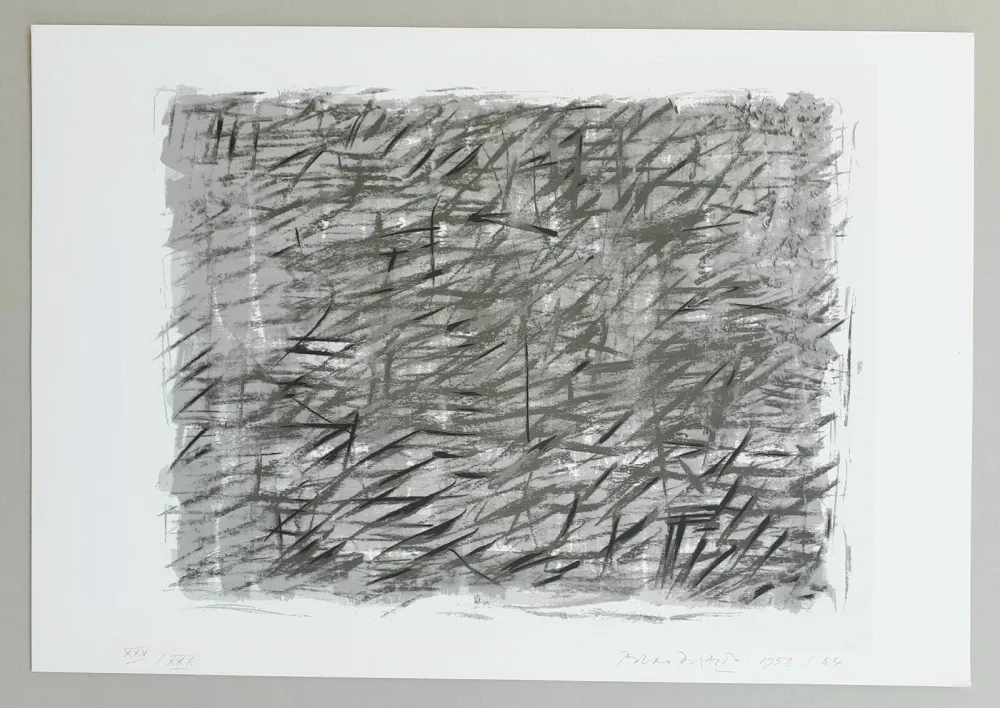 Serigrafia Dorazio - Disegno