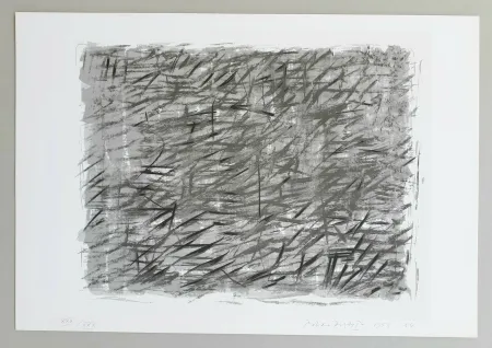 Serigrafia Dorazio - Disegno