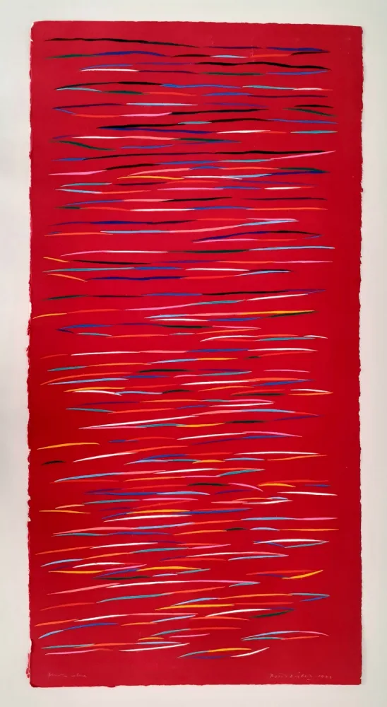 Linogravura Dorazio - Senza titolo