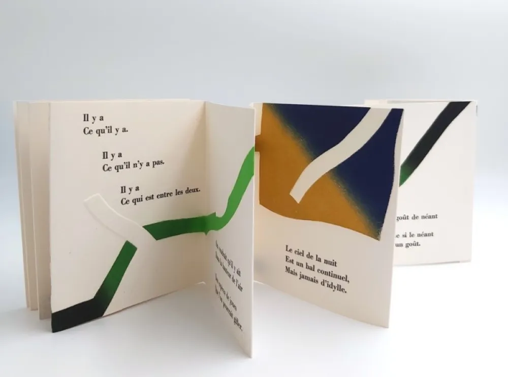 Livro Ilustrado Dorny - AGUETS