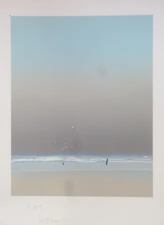 Litografia Doutreleau - Les mouettes