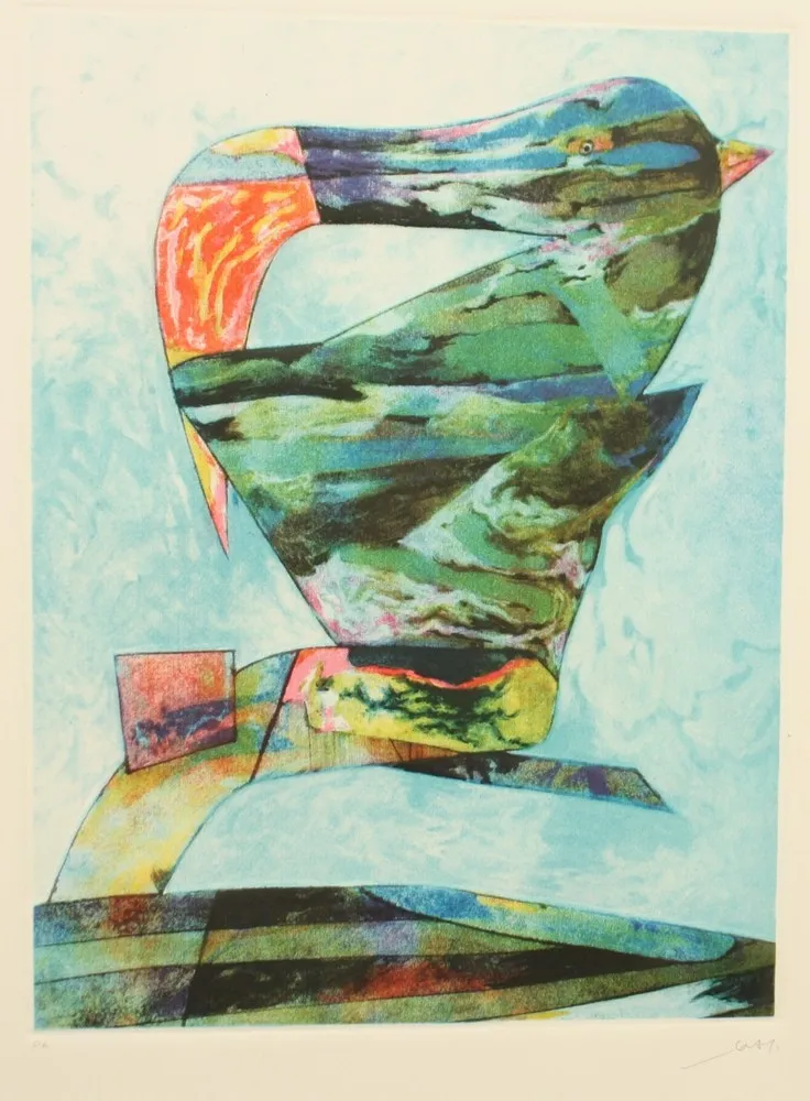 Água-Forte E Água-Tinta Dova  - UCCELLO DI BRETAGNA