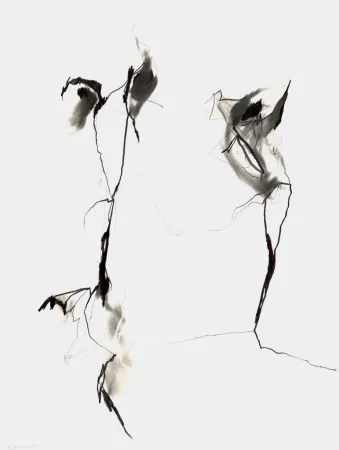 Sem Técnica Drehbusch - Belangloskeiten / Irrelevancies