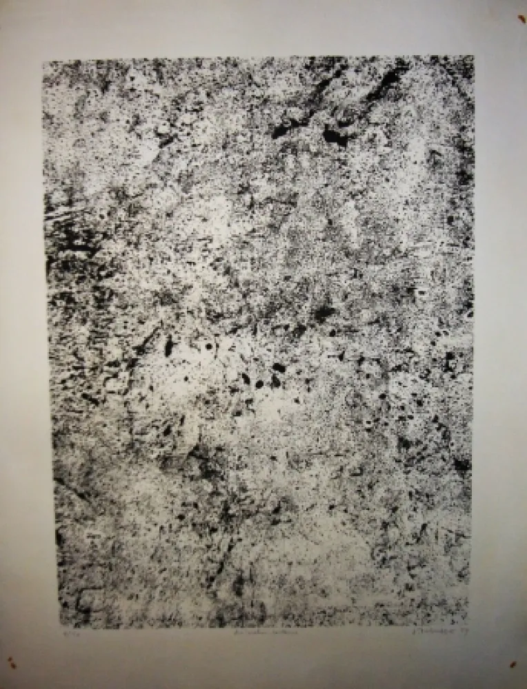 Litografia Dubuffet - Animation contenue