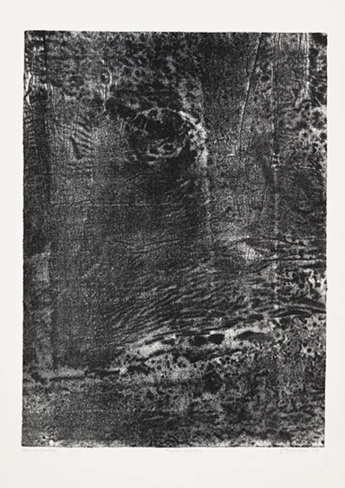 Litografia Dubuffet - Paysage japonais