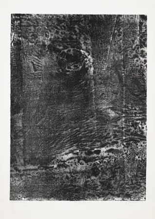 Litografia Dubuffet - Paysage japonais