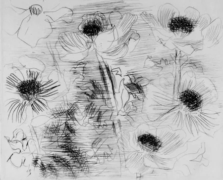 Água-Forte Dufy - Anemones