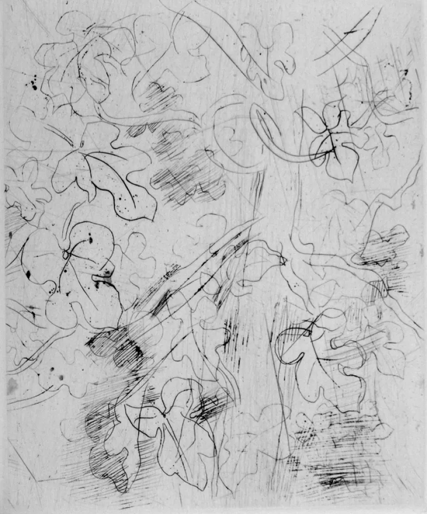 Água-Forte Dufy - Figuier